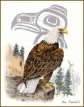 (image for) Eagle